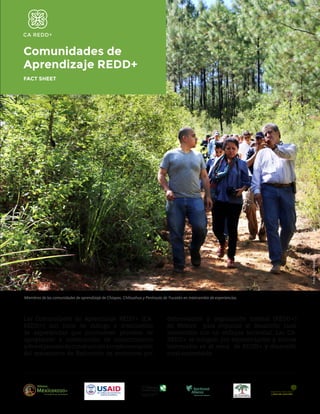 Comunidades de
Aprendizaje REDD+
FACT SHEET
Las Comunidades de Aprendizaje REDD+ (CA-
REDD+) son foros de diálogo e intercambio
de experiencias que promueven procesos de
apropiación y construcción de conocimientos
sobreelprocesodeconstruccióneimplementación
del mecanismo de Reducción de emisiones por
deforestación y degradación forestal (REDD+)
en México para impulsar el desarrollo rural
sustentable con un enfoque territorial. Las CA-
REDD+ se integran por representantes y actores
interesados en el tema de REDD+ y desarrollo
rural sustentable.
Foto:MairaMonroy
Miembros de las comunidades de aprendizaje de Chiapas, Chihuahua y Península de Yucatán en intercambio de experiencias.
 