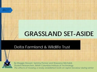 GRASSLAND SET-ASIDE
Delta Farmland & Wildlife Trust
By Maggie Stewart, Sammy Penner and Shawana Michalek
Student Researchers, British Columbia Institute of Technology
The effects of mowing a newly established GLSA on raptor bevaiour during winter
 