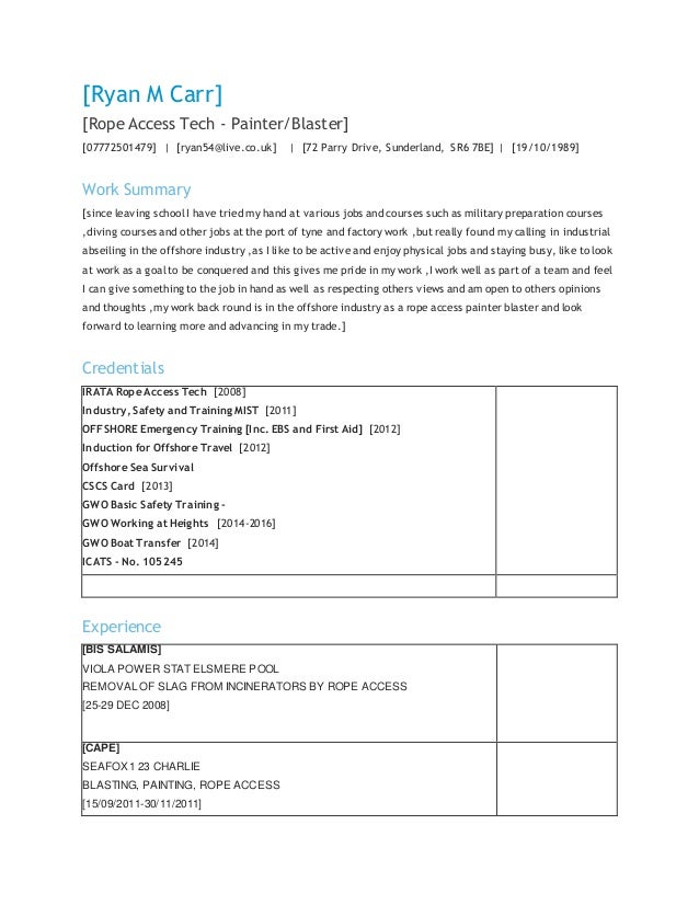 resume for a painter