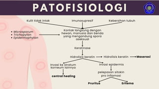 Kulit tidak intak Imunosupresif Kebersihan tubuh
Kontak langsung dengan
hewan, manusia dan benda
yang mengandung spora
aseksual
Keratinase
Hidrolisis keratin Hidrolisis keratin Maserasi
Invasi epidermis
pelepasan sitokin
pro inflamasi
Invasi ke stratum
korneum lainnya
Pruritus Eritema
Microsporum
Trichopyton
Epidermophyton
central healing
 