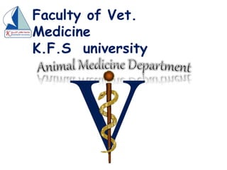 Faculty of Vet.
Medicine
K.F.S university
 
