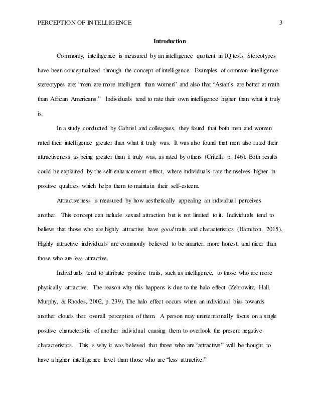 Perception essay sample image