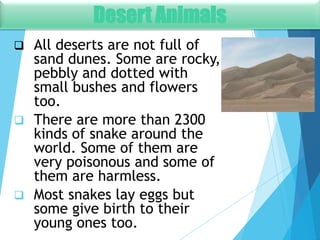6 desert animals