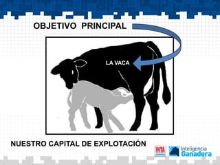OBJETIVO PRINCIPAL



                     LA VACA




NUESTRO CAPITAL DE EXPLOTACIÓN
 