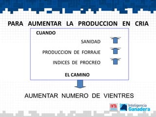 PARA AUMENTAR LA PRODUCCION EN CRIA
       CUANDO
                      SANIDAD

        PRODUCCION DE FORRAJE
            INDICES DE PROCREO

                EL CAMINO



    AUMENTAR NUMERO DE VIENTRES
 