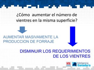 ¿Cómo aumentar el número de
     vientres en la misma superficie?


AUMENTAR MASIVAMENTE LA
PRODUCCION DE FORRAJE

      DISMINUIR LOS REQUERIMIENTOS
                    DE LOS VIENTRES
 