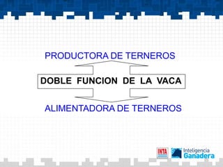 PRODUCTORA DE TERNEROS

DOBLE FUNCION DE LA VACA


ALIMENTADORA DE TERNEROS
 