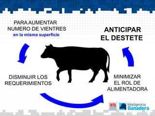 PARA AUMENTAR
NUMERO DE VIENTRES          ANTICIPAR
  en la misma superficie
                           EL DESTETE




 DISMINUIR LOS                MINIMIZAR
REQUERIMIENTOS                EL ROL DE
                            ALIMENTADORA
 