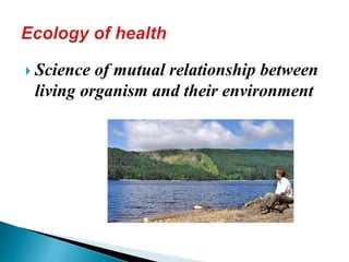6 determinants of health | PPTX