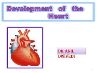 Dr Anil
Dwivedi

          1
 
