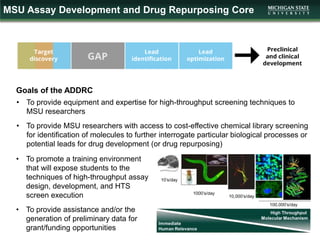 MSU Assay Development and Drug Repurposing Core
• To provide equipment and expertise for high-throughput screening techniques to
MSU researchers
• To provide MSU researchers with access to cost-effective chemical library screening
for identification of molecules to further interrogate particular biological processes or
potential leads for drug development (or drug repurposing)
• To promote a training environment
that will expose students to the
techniques of high-throughput assay
design, development, and HTS
screen execution
• To provide assistance and/or the
generation of preliminary data for
grant/funding opportunities
Goals of the ADDRC
 