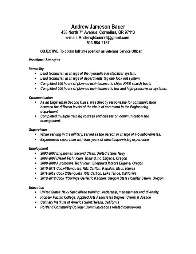 andrew bauer resume