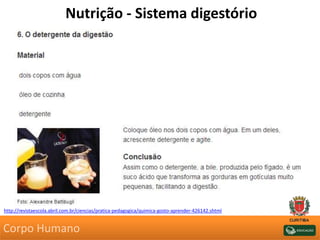 Nutrição - Sistema digestório
http://revistaescola.abril.com.br/ciencias/pratica-pedagogica/quimica-gosto-aprender-426142.shtml
Corpo Humano
 