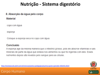 Nutrição - Sistema digestório
http://revistaescola.abril.com.br/ciencias/pratica-pedagogica/quimica-gosto-aprender-426142.shtml
Corpo Humano
 