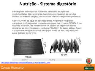 Nutrição - Sistema digestório
http://educacao.globo.com/provas/enem-2010/questoes/62.html
Corpo Humano
 