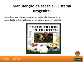 Manutenção da espécie – Sistema
urogenital
Semelhanças e diferenças entre animais e plantas quanto à
reprodução e desenvolvimento: animais ovíparos e vivíparos.
Corpo Humano
 