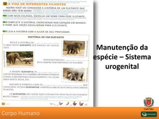 Manutenção da
espécie – Sistema
urogenital
Corpo Humano
 
