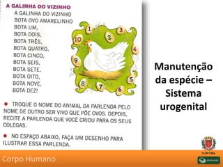 Manutenção
da espécie –
Sistema
urogenital
Corpo Humano
 