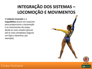 INTEGRAÇÃO DOS SISTEMAS –
LOCOMOÇÃO E MOVIMENTOS
O sistema muscular e o
esquelético atuam em conjunto
para proporcionar a locomoção
e os movimentos do corpo,
desde os mais simples (piscar)
até os mais complexos (segurar
um lápis e desenhar, por
exemplo).
Corpo Humano
 