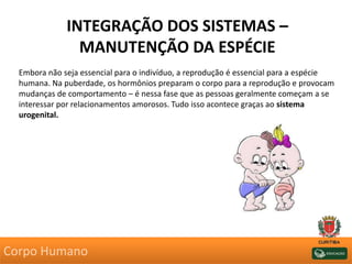INTEGRAÇÃO DOS SISTEMAS –
MANUTENÇÃO DA ESPÉCIE
Embora não seja essencial para o indivíduo, a reprodução é essencial para a espécie
humana. Na puberdade, os hormônios preparam o corpo para a reprodução e provocam
mudanças de comportamento – é nessa fase que as pessoas geralmente começam a se
interessar por relacionamentos amorosos. Tudo isso acontece graças ao sistema
urogenital.
Corpo Humano
 