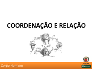 COORDENAÇÃO E RELAÇÃO
Corpo Humano
 