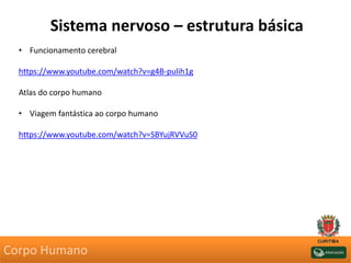 Sistema nervoso – estrutura básica
• Funcionamento cerebral
https://www.youtube.com/watch?v=g4B-pulih1g
Atlas do corpo humano
• Viagem fantástica ao corpo humano
https://www.youtube.com/watch?v=SBYujRVVuS0
Corpo Humano
 