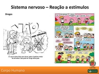 Sistema nervoso – Reação a estímulos
Drogas
Corpo Humano
 