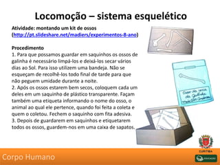Locomoção – sistema esquelético
Atividade: montando um kit de ossos
(http://pt.slideshare.net/madiers/experimentos-8-ano)
Procedimento
1. Para que possamos guardar em saquinhos os ossos de
galinha é necessário limpá-los e deixá-los secar vários
dias ao Sol. Para isso utilizem uma bandeja. Não se
esqueçam de recolhê-los todo final de tarde para que
não peguem umidade durante a noite.
2. Após os ossos estarem bem secos, coloquem cada um
deles em um saquinho de plástico transparente. Façam
também uma etiqueta informando o nome do osso, o
animal ao qual ele pertence, quando foi feita a coleta e
quem o coletou. Fechem o saquinho com fita adesiva.
3. Depois de guardarem em saquinhos e etiquetarem
todos os ossos, guardem-nos em uma caixa de sapatos.
Corpo Humano
 