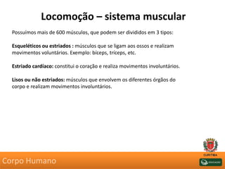 Locomoção – sistema muscular
Possuímos mais de 600 músculos, que podem ser divididos em 3 tipos:
Esqueléticos ou estriados : músculos que se ligam aos ossos e realizam
movimentos voluntários. Exemplo: bíceps, tríceps, etc.
Estriado cardíaco: constitui o coração e realiza movimentos involuntários.
Lisos ou não estriados: músculos que envolvem os diferentes órgãos do
corpo e realizam movimentos involuntários.
Corpo Humano
 
