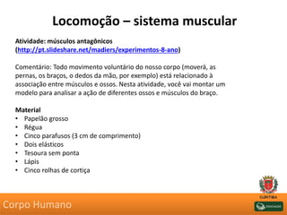 Locomoção – sistema muscular
Atividade: músculos antagônicos
(http://pt.slideshare.net/madiers/experimentos-8-ano)
Comentário: Todo movimento voluntário do nosso corpo (moverá, as
pernas, os braços, o dedos da mão, por exemplo) está relacionado à
associação entre músculos e ossos. Nesta atividade, você vai montar um
modelo para analisar a ação de diferentes ossos e músculos do braço.
Material
• Papelão grosso
• Régua
• Cinco parafusos (3 cm de comprimento)
• Dois elásticos
• Tesoura sem ponta
• Lápis
• Cinco rolhas de cortiça
Corpo Humano
 