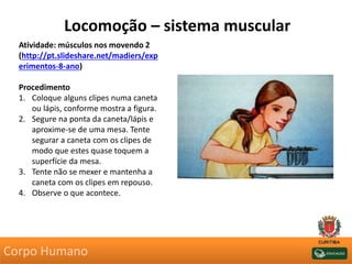 Locomoção – sistema muscular
Atividade: músculos nos movendo 2
(http://pt.slideshare.net/madiers/exp
erimentos-8-ano)
Procedimento
1. Coloque alguns clipes numa caneta
ou lápis, conforme mostra a figura.
2. Segure na ponta da caneta/lápis e
aproxime-se de uma mesa. Tente
segurar a caneta com os clipes de
modo que estes quase toquem a
superfície da mesa.
3. Tente não se mexer e mantenha a
caneta com os clipes em repouso.
4. Observe o que acontece.
Corpo Humano
 