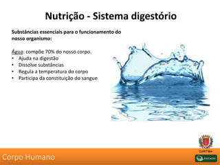 Nutrição - Sistema digestório
Substâncias essenciais para o funcionamento do
nosso organismo:
Água: compõe 70% do nosso corpo.
• Ajuda na digestão
• Dissolve substâncias
• Regula a temperatura do corpo
• Participa da constituição do sangue
Corpo Humano
 