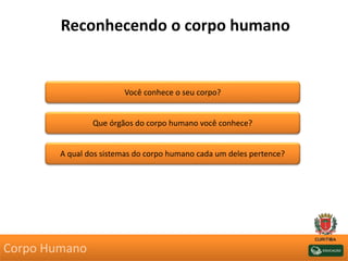 Reconhecendo o corpo humano
Você conhece o seu corpo?
Que órgãos do corpo humano você conhece?
A qual dos sistemas do corpo humano cada um deles pertence?
Corpo Humano
 