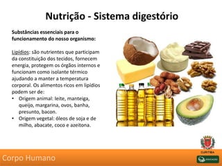 Nutrição - Sistema digestório
Substâncias essenciais para o
funcionamento do nosso organismo:
Lipídios: são nutrientes que participam
da constituição dos tecidos, fornecem
energia, protegem os órgãos internos e
funcionam como isolante térmico
ajudando a manter a temperatura
corporal. Os alimentos ricos em lipídios
podem ser de:
• Origem animal: leite, manteiga,
queijo, margarina, ovos, banha,
presunto, bacon.
• Origem vegetal: óleos de soja e de
milho, abacate, coco e azeitona.
Corpo Humano
 