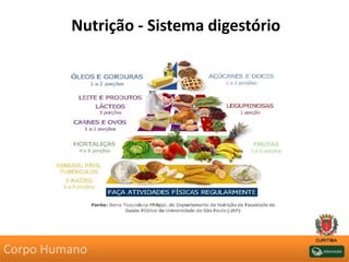 Nutrição - Sistema digestório
Corpo Humano
 