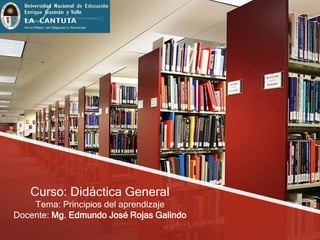 Curso: Didáctica General
Tema: Principios del aprendizaje
Docente: Mg. Edmundo José Rojas Galindo
 