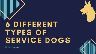 6 DIFFERENT
TYPES OF
SERVICE DOGS
Ryan Croman
 