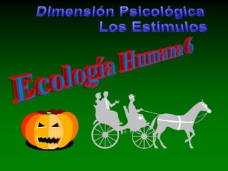 Dimensión Psicológica Los Estímulos Ecología Humana 6 