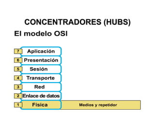 CONCENTRADORES (HUBS)
 