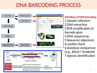 Comprehensive Overview of DNA Barcoding for Species Identification and ...