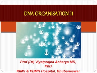 Prof (Dr) Viyatprajna Acharya MD,
PhD
KIMS & PBMH Hospital, Bhubaneswar
DNA ORGANISATION-II
 