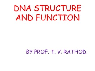 DNA Structure & Function | PPTX
