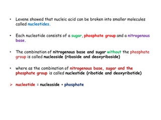 • Levene showed that nucleic acid can be broken into smaller molecules
called nucleotides.
• Each nucleotide consists of a sugar, phosphate group and a nitrogenous
base.
• The combination of nitrogenous base and sugar without the phosphate
group is called nucleoside (riboside and deoxyriboside)
• where as the combination of nitrogenous base, sugar and the
phosphate group is called nucleotide (ribotide and deoxyribotide)
 nucleotide = nucleoside + phosphate
 