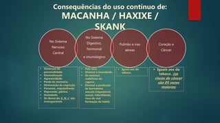 No Sistema
Nervoso
Central
No Sistema
Digestivo,
hormonal
e imunológico
Pulmão e vias
aéreas
Coração e
Câncer
 Distorção da
personalidade.
 Desmotivação.
 Agressividade.
 Perda da memória.
 Diminuição da cognição.
 Paranoia, esquizofrenia.
 Depressão, pânico.
 Ansiedade.
 Os danos do S. N. C. são
irrecuperáveis.
 Pele seca.
 Diminui a imunidade.
 Os mesmos
malefícios do
cigarro.
 Diminui a produção
de hormônios
sexuais (impotência
sexual, infertilidade,
risco de mal
formação do bebê).
 Iguais aos do
tabaco.
 Iguais aos do
tabaco. (os
riscos de câncer
são 05 vezes
maiores)
Consequências do uso contínuo de:
MACANHA / HAXIXE /
SKANK
 