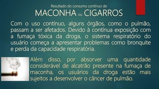 Resultado do consumo contínuo de
MACONHA ou CIGARROS
Com o uso contínuo, alguns órgãos, como o pulmão,
passam a ser afetados. Devido à contínua exposição com
a fumaça tóxica da droga, o sistema respiratório do
usuário começa a apresentar problemas como bronquite
e perda da capacidade respiratória.
Além disso, por absorver uma quantidade
considerável de alcatrão presente na fumaça de
maconha, os usuários da droga estão mais
sujeitos a desenvolver o câncer de pulmão.
 