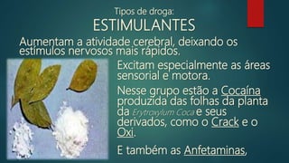 Aumentam a atividade cerebral, deixando os
estímulos nervosos mais rápidos.
Excitam especialmente as áreas
sensorial e motora.
Nesse grupo estão a Cocaína
produzida das folhas da planta
da Erytroxylum Coca e seus
derivados, como o Crack e o
Oxi.
E também as Anfetaminas,
Tipos de droga:
ESTIMULANTES
 