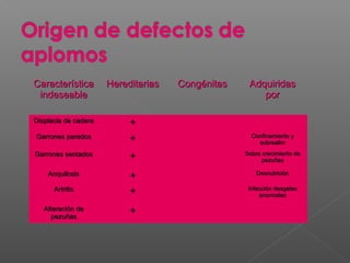 CaracterísticaCaracterística
indeseableindeseable
HereditariasHereditarias CongénitasCongénitas AdquiridasAdquiridas
porpor
Displacia de caderaDisplacia de cadera ++
Garrones paradosGarrones parados ++ Confinamiento yConfinamiento y
sobrealimsobrealim
Garrones sentadosGarrones sentados ++ Sobre crecimiento deSobre crecimiento de
pezuñaspezuñas
AnquilosisAnquilosis ++ DesnutriciónDesnutrición
ArtritisArtritis ++ Infección desgatesInfección desgates
anormalesanormales
Alteración deAlteración de
pezuñaspezuñas
++
 