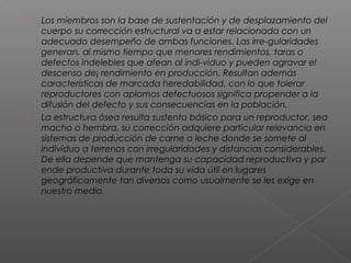  Los miembros son la base de sustentación y de desplazamiento del
cuerpo su corrección estructural va a estar relacionada con un
adecuado desempeño de ambas funciones. Las irre-gularidades
generan, al mismo tiempo que menores rendimientos, taras o
defectos indelebles que afean al indi-viduo y pueden agravar el
descenso de¡ rendimiento en producción. Resultan además
características de marcada heredabilidad, con lo que tolerar
reproductores con aplomos defectuosos significa propender a la
difusión del defecto y sus consecuencias en la población.
 La estructura ósea resulta sustento básico para un reproductor, sea
macho o hembra, su corrección adquiere particular relevancia en
sistemas de producción de carne o leche donde se somete al
individuo a terrenos con irregularidades y distancias considerables.
De ella depende que mantenga su capacidad reproductiva y por
ende productiva durante toda su vida útil en lugares
geográficamente tan diversos como usualmente se les exige en
nuestro medio.
 