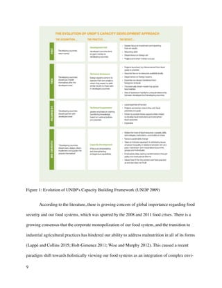 Undp Framework THESIS_PLATT_FINAL | PDF
