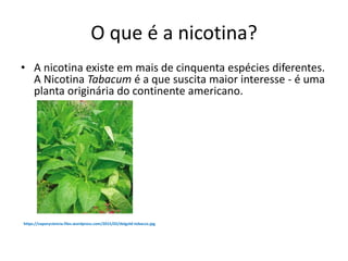 O que é a nicotina?
• A nicotina existe em mais de cinquenta espécies diferentes.
A Nicotina Tabacum é a que suscita maior interesse - é uma
planta originária do continente americano.
https://vaporyciencia.files.wordpress.com/2015/02/delgold-tobacco.jpg
 